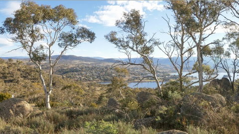 Peak View House - Accommodation Brunswick Heads 3