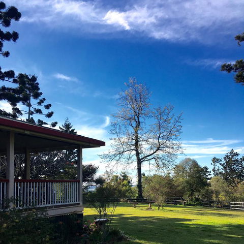 Pechey Homestead - Accommodation Brunswick Heads 3