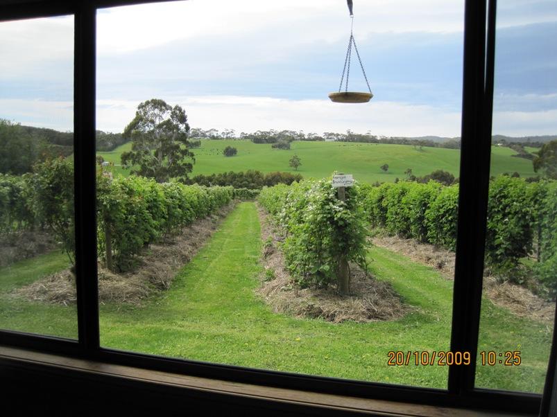 Murroon VIC Accommodation Brunswick Heads