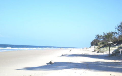 Pet Friendly Home Walking Distance To Surf Beach - North St, Woorim - Accommodation Brunswick Heads 3