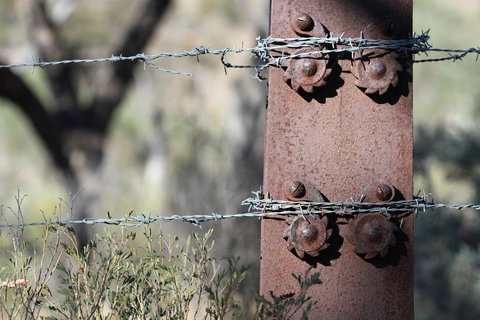 Pichi Richi Park - Accommodation Brunswick Heads 2