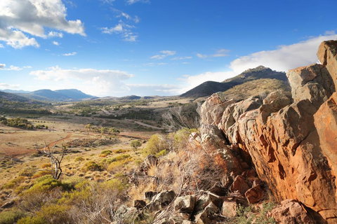 Pichi Richi Park - Accommodation Brunswick Heads 0