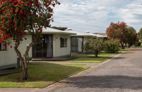 Pine Country Caravan Park - Accommodation Brunswick Heads 2