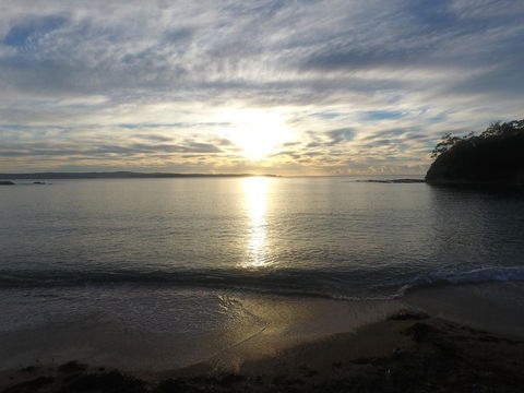 Pleasurelea Tourist Resort & Caravan Park - Accommodation Brunswick Heads 3