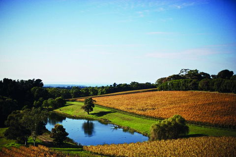 Port Phillip Estate - Accommodation Brunswick Heads 2