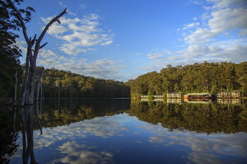 RAC Karri Valley Resort - Accommodation Brunswick Heads 0