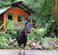 Rainforest Hideaway - Accommodation Brunswick Heads