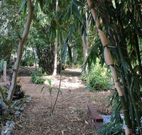 Rainforest Water Front River Shack Secluded. - Accommodation Brunswick Heads