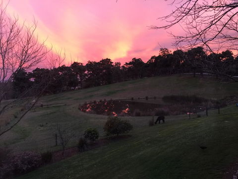 Raynella Alpaca Farmstay - Accommodation Brunswick Heads 1