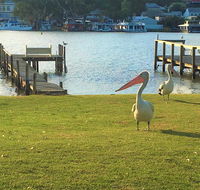 Riverfront Getaway - Mannum - Accommodation Brunswick Heads