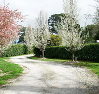 Robin Hill Manor - rambling retreat  tennis court - Accommodation Brunswick Heads
