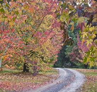 Rustic Spirit - Accommodation Brunswick Heads