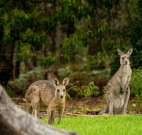 Secura Lifestyle Countryside Kalaru - Accommodation Brunswick Heads
