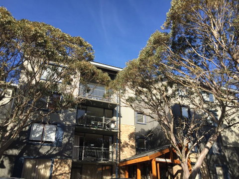 Snowflake 12 - Accommodation Brunswick Heads 0