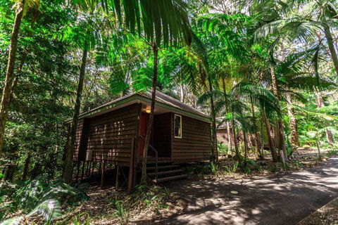 Songbirds Rainforest Retreat - Accommodation Brunswick Heads 2