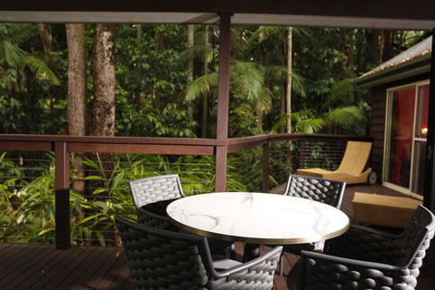Songbirds Rainforest Retreat - Accommodation Brunswick Heads 1