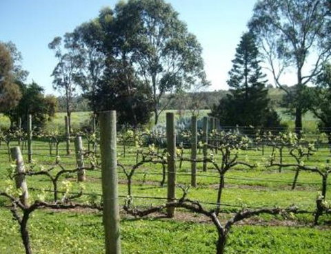 Southern Vales Bed & Breakfast - Accommodation Brunswick Heads 1