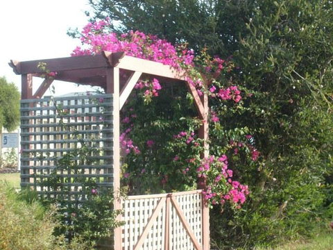 Southern Vales Bed & Breakfast - Accommodation Brunswick Heads 3