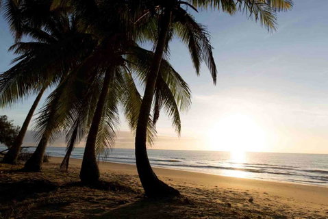 Spice At Oak Award Winning Luxury Absolute Oceanfront House Oak Beach Near Port Douglas - Accommodation Brunswick Heads 1