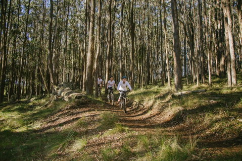 Spicers Peak Lodge - Accommodation Brunswick Heads 3