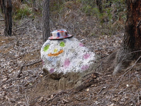 Splendid Wren Cottage - Accommodation Brunswick Heads 3