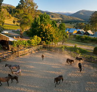 Spring Spur - Accommodation Brunswick Heads