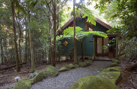 Springbrook Lyrebird Retreat - Accommodation Brunswick Heads 1