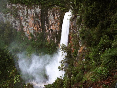 Springbrook Lyrebird Retreat - Accommodation Brunswick Heads 2