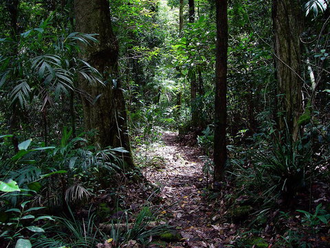 Springbrook Lyrebird Retreat - Accommodation Brunswick Heads 0