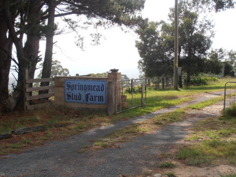 Springmead B&B - Accommodation Brunswick Heads 2