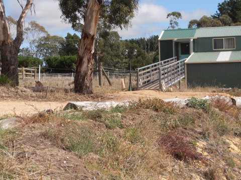 Springmead Rustic Cabin - Accommodation Brunswick Heads 1