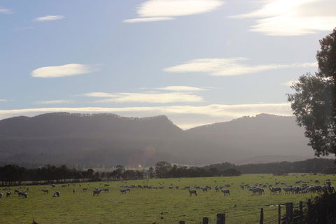 St Marys Hotel And Bistro - Accommodation Brunswick Heads 3