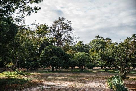 Standing Stone House - Accommodation Brunswick Heads 3
