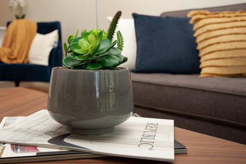 STAY&CO North Sydney Crows Nest - Accommodation Brunswick Heads 1