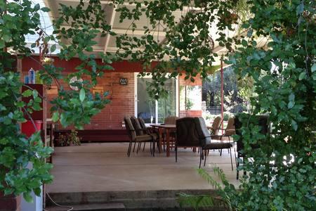 Sue's Sanctuary - Accommodation Brunswick Heads 1