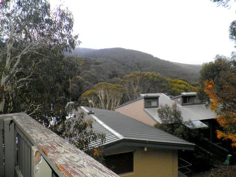 Super Value Thredbo STUDIO & Ante-Room Apartment - Accommodation Brunswick Heads 2