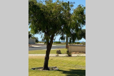 The Beach House Busselton - Accommodation Brunswick Heads 3