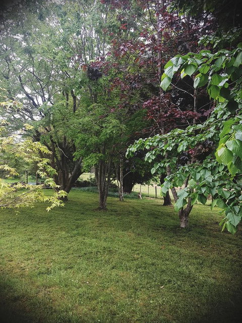 Whispering Hills Retreat - Accommodation Brunswick Heads 14