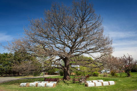 Ratho Farm - Accommodation Brunswick Heads 8