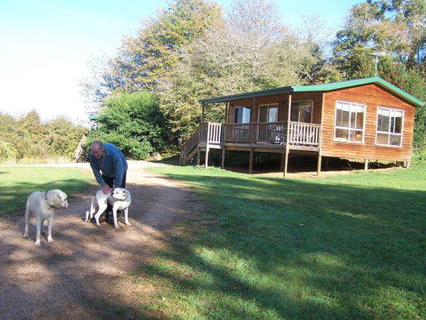 Drumreagh Cabins - Accommodation Brunswick Heads 4