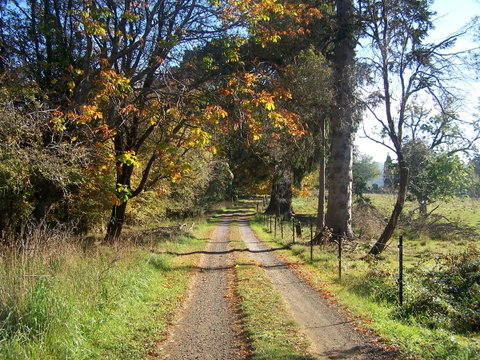 Drumreagh Cabins - Accommodation Brunswick Heads 6