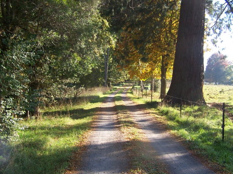 Drumreagh Cabins - Accommodation Brunswick Heads 5