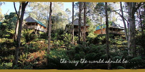 Lemonthyme Wilderness Retreat - Accommodation Brunswick Heads 20