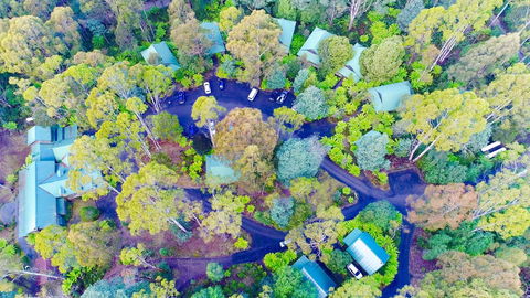 Lemonthyme Wilderness Retreat - Accommodation Brunswick Heads 1