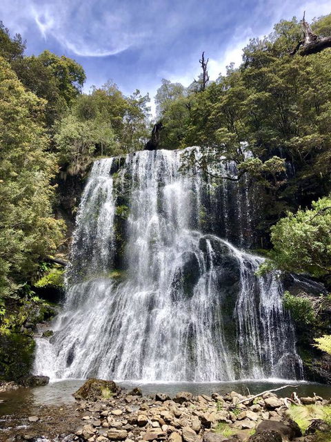 Lemonthyme Wilderness Retreat - Accommodation Brunswick Heads 9