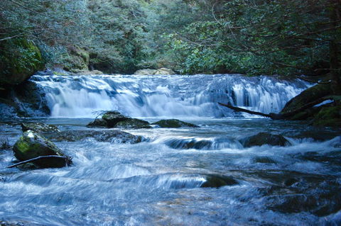 Lemonthyme Wilderness Retreat - Accommodation Brunswick Heads 10