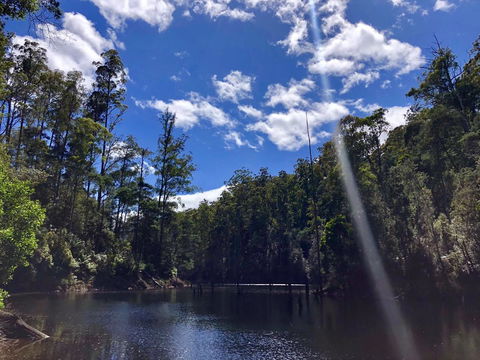 Lemonthyme Wilderness Retreat - Accommodation Brunswick Heads 7