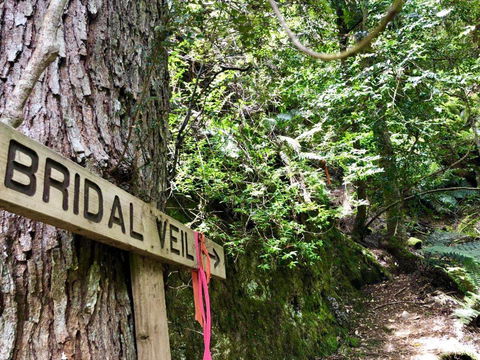 Lemonthyme Wilderness Retreat - Accommodation Brunswick Heads 18