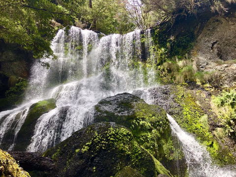 Lemonthyme Wilderness Retreat - Accommodation Brunswick Heads 14