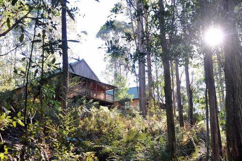 Lemonthyme Wilderness Retreat - Accommodation Brunswick Heads 25